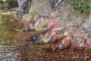 Clear shallow water and colourful rocks along the edge of Merimbula Lake, NSW Australia