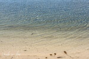 Ripples and waves in shallow water, Merimbula Lake, NSW Australia