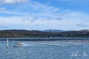 Oyster farms on Merimbula Lake, NSW Australia