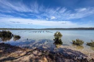 Waterscape: Oyster farms on Merimbula Lake, NSW Australia