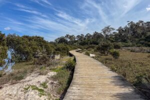 Curves in the Merimbula Boardwalk, NSW Australia in the Merimbula Boardwalk, NSW Australia