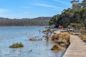 Walkers on a curving boardwalk, Merimbula Lake, NSW Australia
