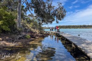 Walkers on the Merimbula Boardwalk, NSW Australia