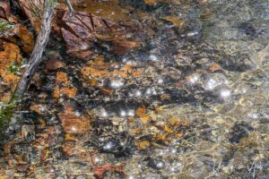 Clear shallow water and colourful rocks along the edge of Merimbula Lake, NSW Australia