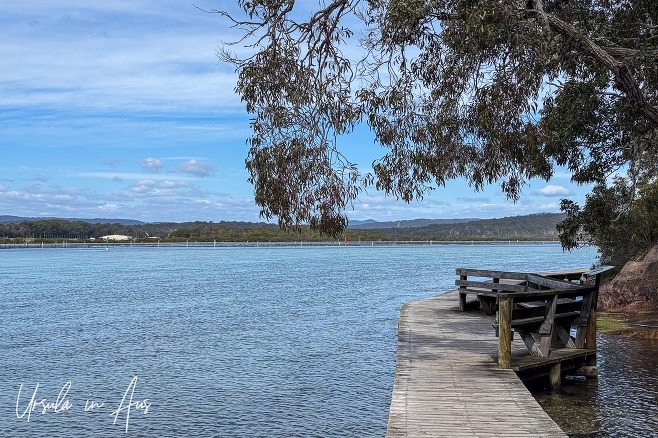 A bench on a curve in the Merimbula Boardwalk, NSW Australia