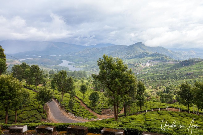 View over the tea plantations of Munnar to the town below, Kerala India.