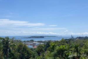 View over Sorong Harbour from Vihara Buddha Jayanti, Indonesia