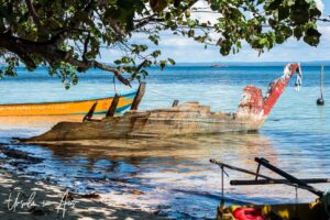 Broken wooden rowboats in the shade of mangroves on still blue waters, Pulau Soop Indonesia