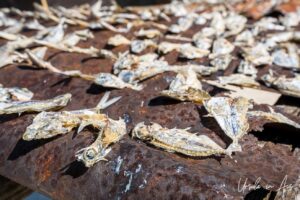 Small dried fish, Pulau Soop Indonesia