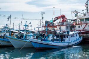 Blue-painted fishing boats, Sorong Harbour, Indonesia
