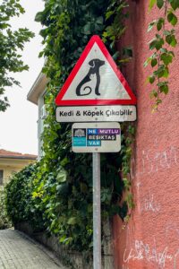 Warning street sign about cats and dogs in the road, Istanbul Türkiye