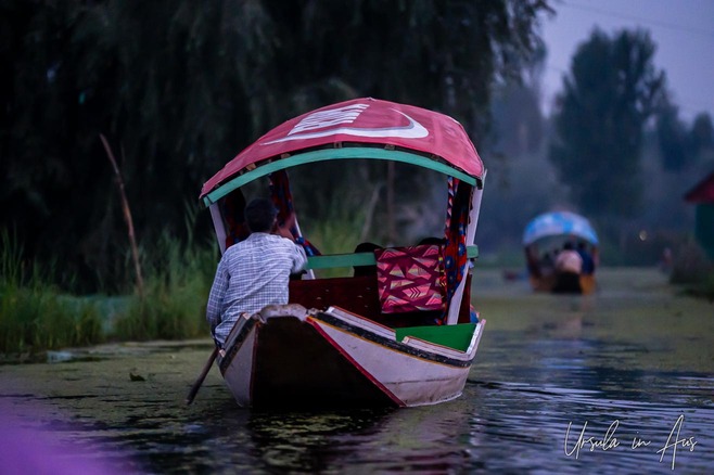 Shikaras in the dim light of predawn, Srinagar, Kashmir India.