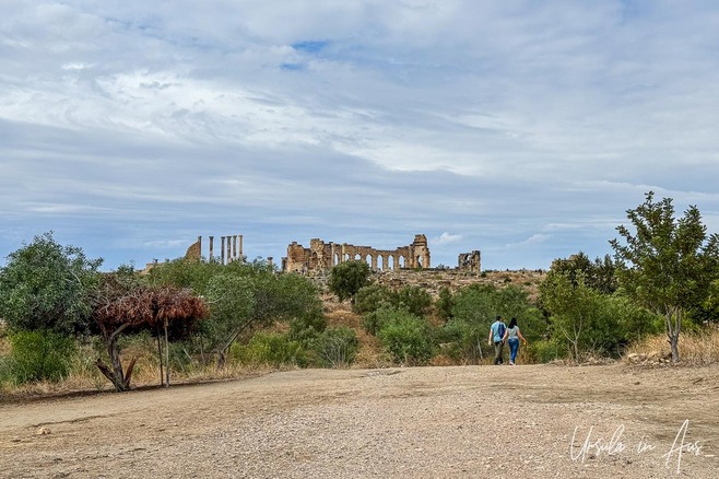 The Basilica from the track, Volubilis Morocco