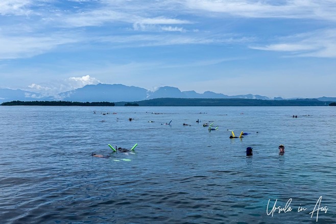 Snorkelers in the waters off Pulau Besar, Maluku Indonesia.