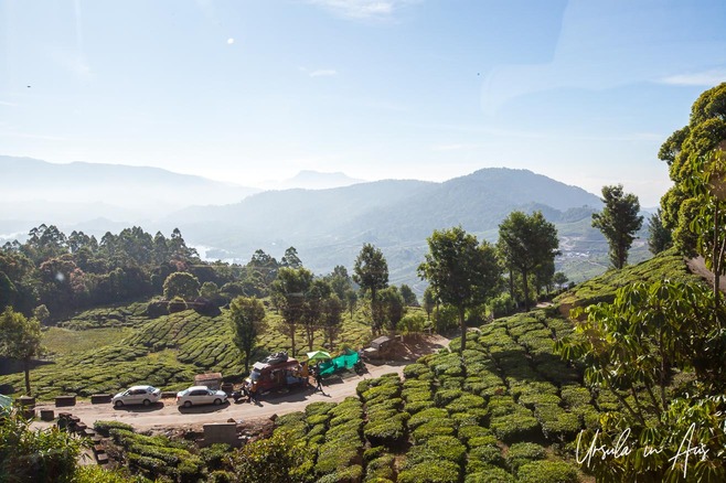 View over tea plantations and the rivers of Munnar, Kerala, India