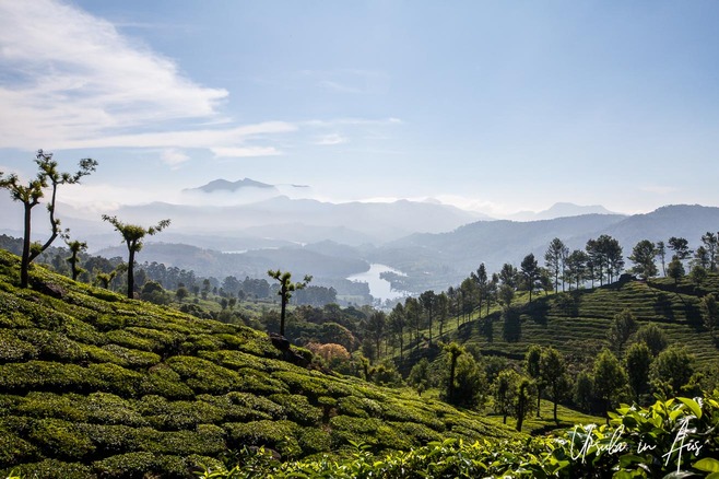 View over tea plantations and the rivers of Munnar, Kerala, India