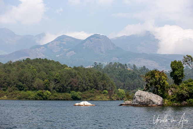 Jungle around Anayirankal Dam, Idukki district, Kerala India