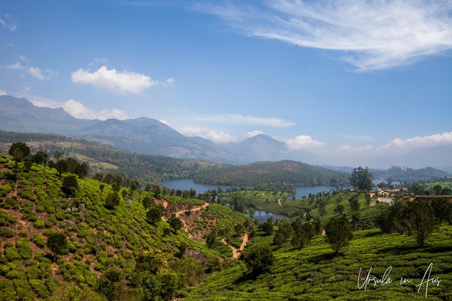 Looking towards the rivers of Munnar over tea plantations, Kerala India