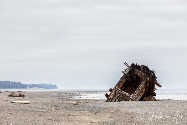 The Pesuta shipwreck and the north coast of Graham Island, Haida Gwaii, BC Canada 
