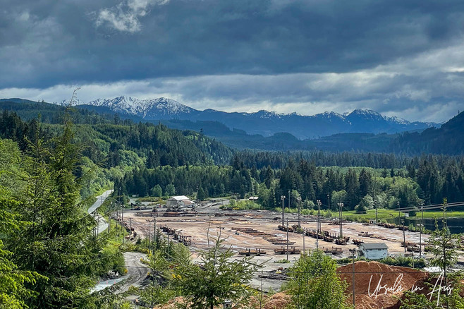 A dryland log sort facility surrounded by coastal mountains, Telegraph Cove, BC, Canada