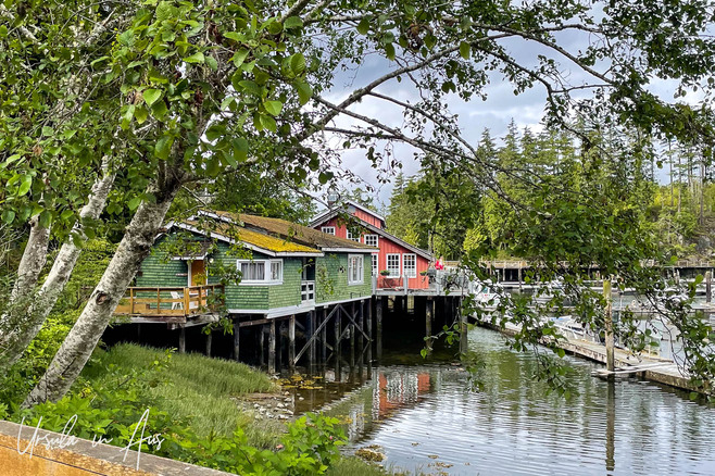 View over wooden buildings on poles over the water, in Telegraph Cove, BC, Canada
