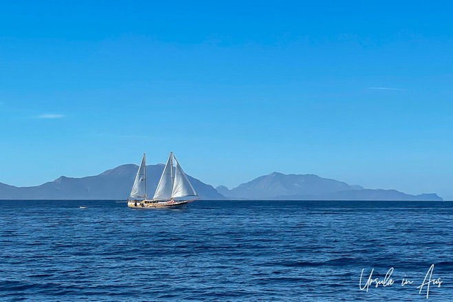 A gulet in full sail against a blue sea and sky, Gulf of Gokova, Türkiye