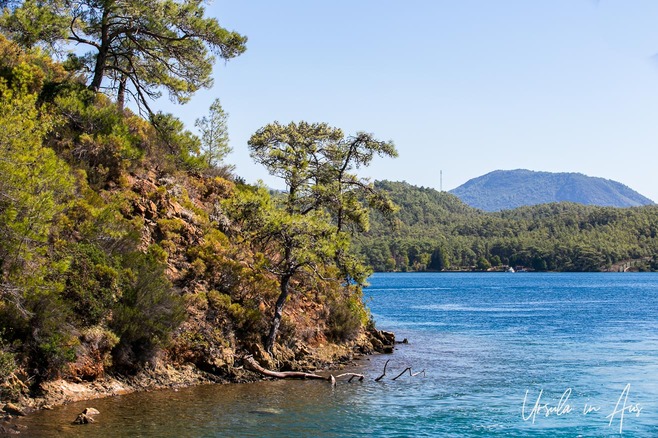 The rugged coast along the Gulf of Gökova, Karaca Muğla, Türkiye