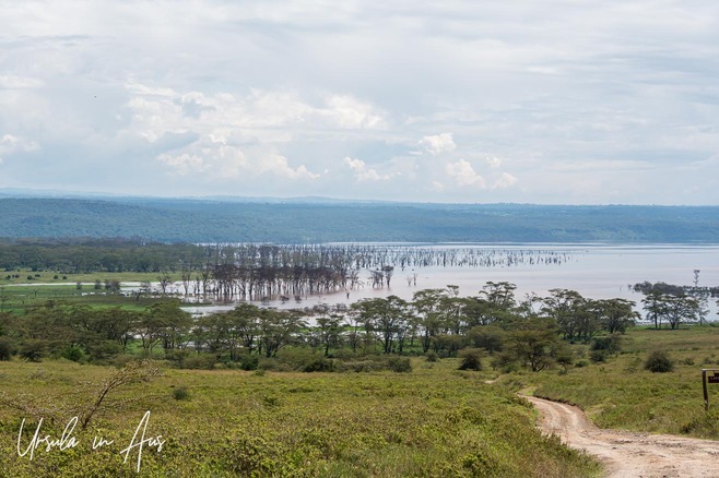 View down a dirt road to Lake Nakuru, Kenya
