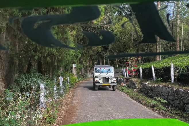 View of a road into the lower part of the Kolukkumalai Tea Estate, India