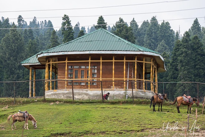 Hut and horses on a hill, Doodhpathri, India