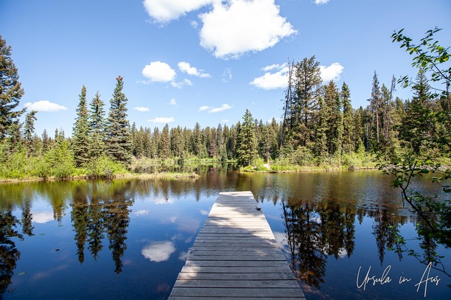 Berman Lake woods and their reflection, Berman Lake Regional Park, BC Canada